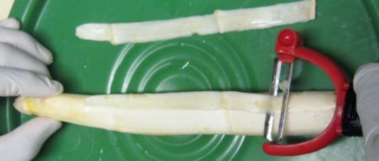 peeling a white asparagus